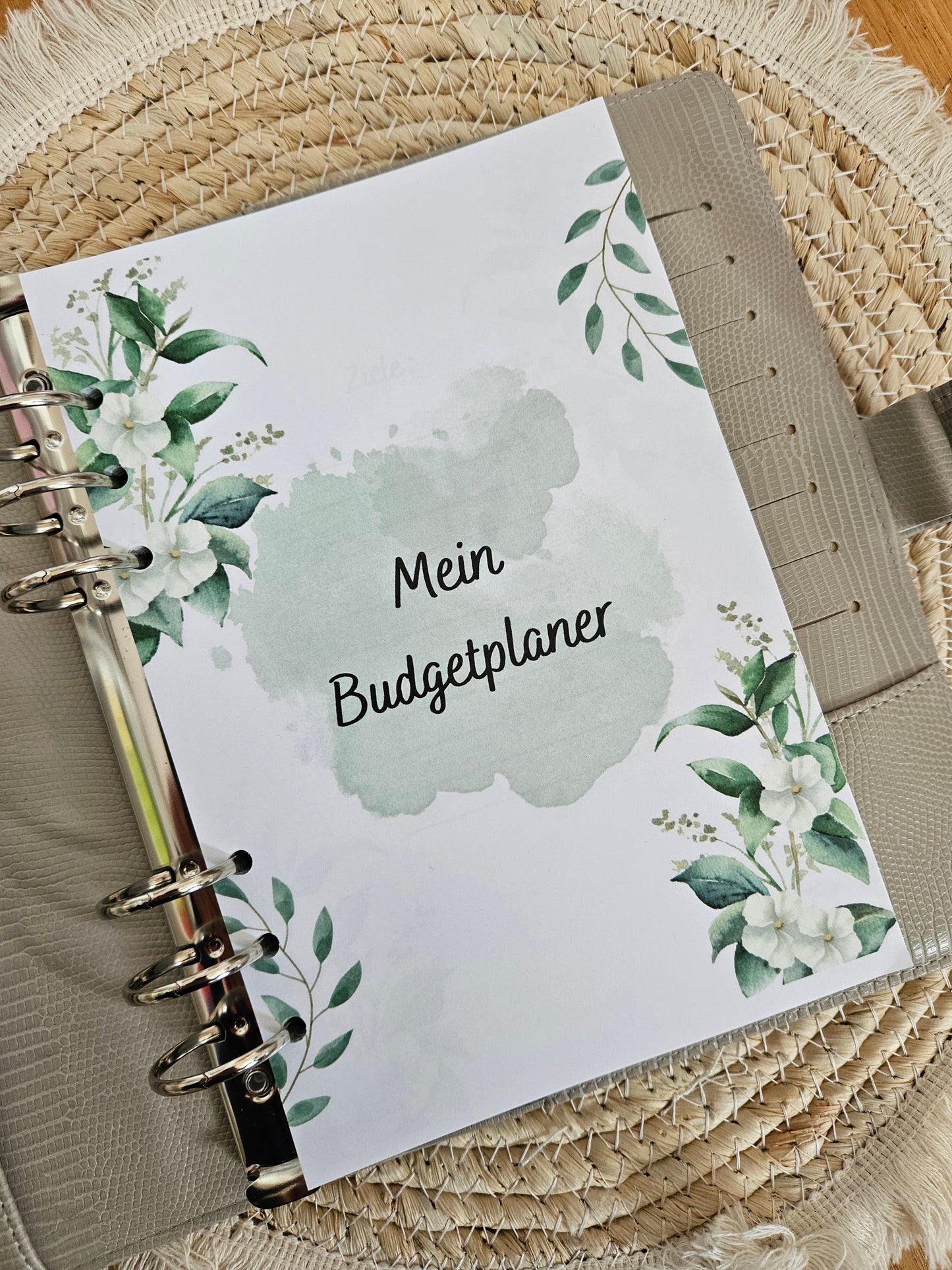 Budget Planer XL Grün NEU